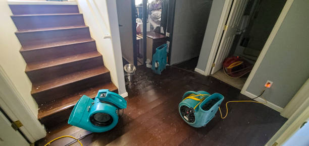 Best Carpet water damage restoration  in Crandall, TX