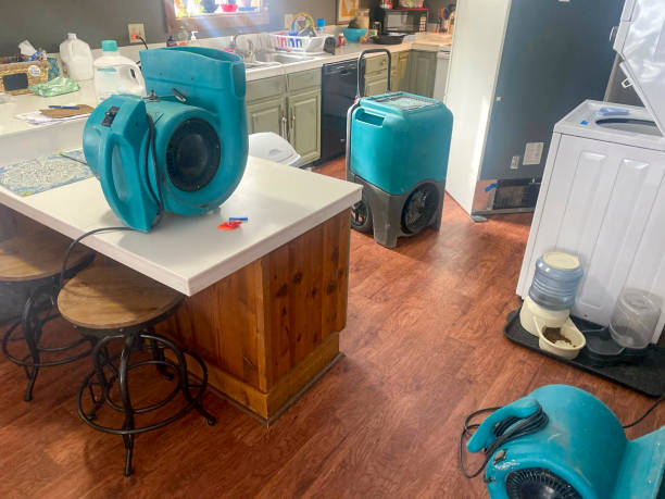 Best Water damage cleanup near me  in Crandall, TX