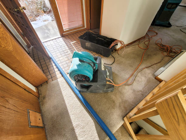 Best Commercial water damage restoration  in Crandall, TX