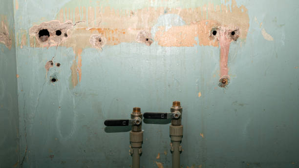 Best 24-hour water damage restoration  in Crandall, TX